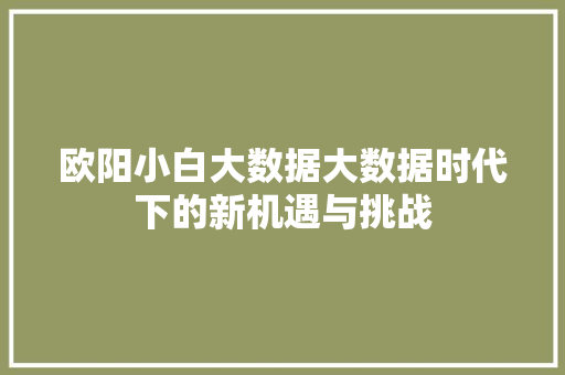 欧阳小白大数据大数据时代下的新机遇与挑战