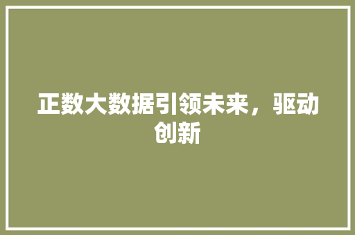 正数大数据引领未来，驱动创新