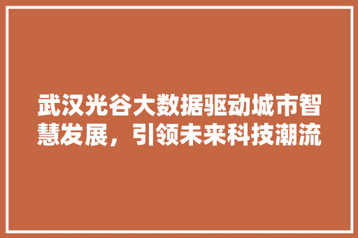 武汉光谷大数据驱动城市智慧发展，引领未来科技潮流