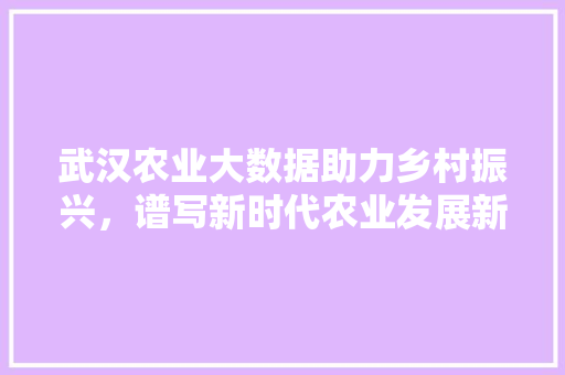 武汉农业大数据助力乡村振兴，谱写新时代农业发展新篇章
