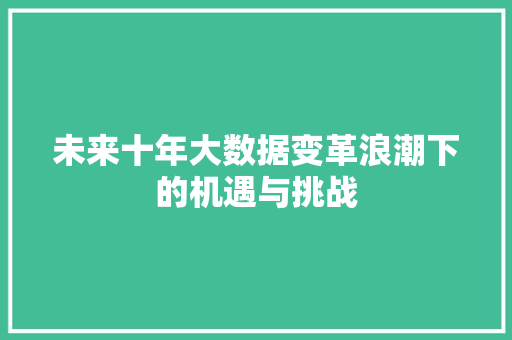 未来十年大数据变革浪潮下的机遇与挑战