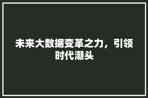 未来大数据变革之力，引领时代潮头