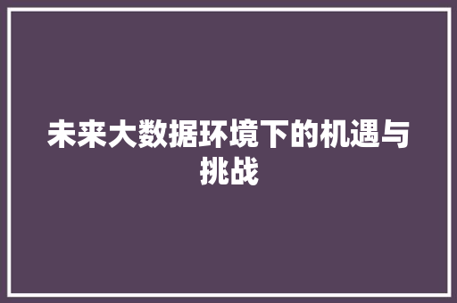 未来大数据环境下的机遇与挑战