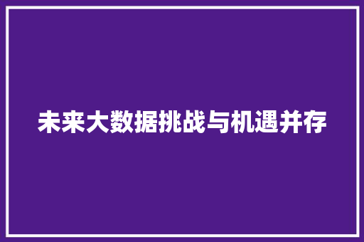 未来大数据挑战与机遇并存