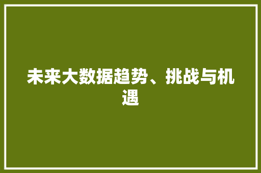 未来大数据趋势、挑战与机遇