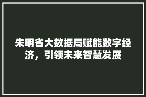 朱明省大数据局赋能数字经济，引领未来智慧发展
