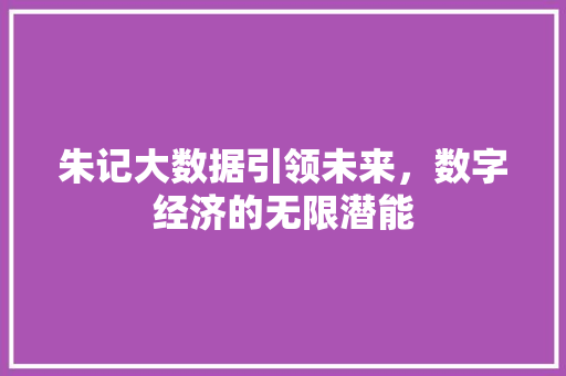 朱记大数据引领未来，数字经济的无限潜能