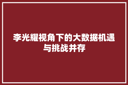 李光耀视角下的大数据机遇与挑战并存