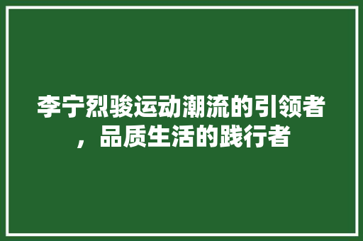 李宁烈骏运动潮流的引领者，品质生活的践行者