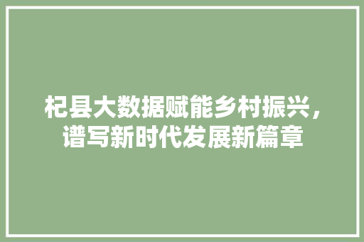 杞县大数据赋能乡村振兴，谱写新时代发展新篇章