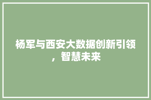 杨军与西安大数据创新引领，智慧未来