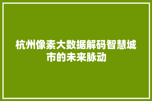 杭州像素大数据解码智慧城市的未来脉动
