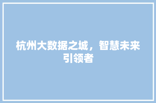 杭州大数据之城，智慧未来引领者