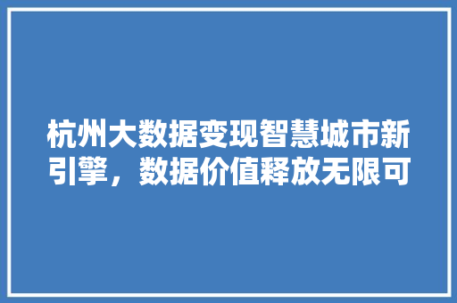 杭州大数据变现智慧城市新引擎，数据价值释放无限可能