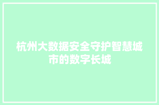 杭州大数据安全守护智慧城市的数字长城
