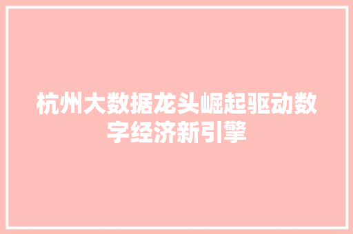 杭州大数据龙头崛起驱动数字经济新引擎