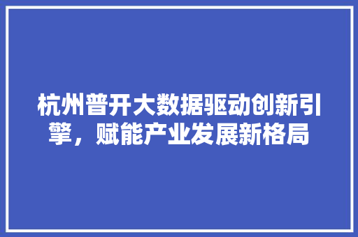 杭州普开大数据驱动创新引擎，赋能产业发展新格局