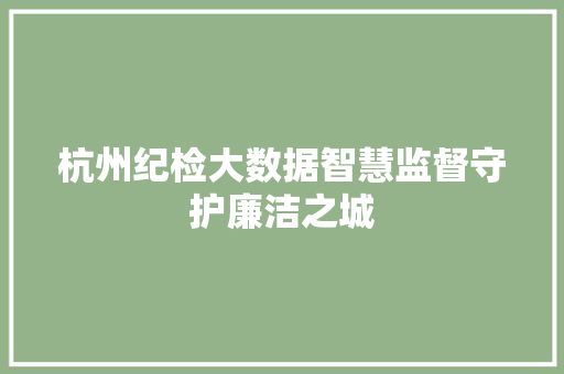 杭州纪检大数据智慧监督守护廉洁之城