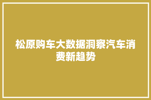 松原购车大数据洞察汽车消费新趋势