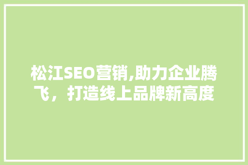 松江SEO营销,助力企业腾飞，打造线上品牌新高度 项目报告
