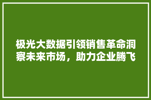 极光大数据引领销售革命洞察未来市场，助力企业腾飞