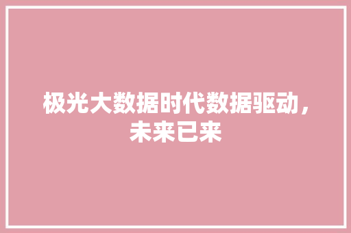 极光大数据时代数据驱动，未来已来