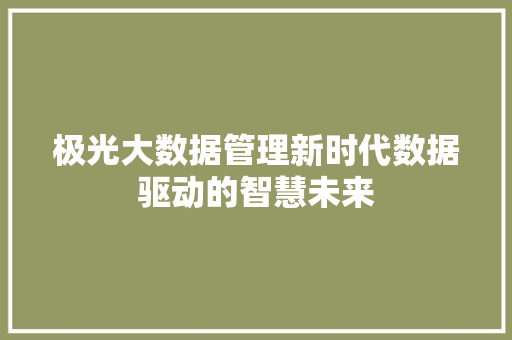 极光大数据管理新时代数据驱动的智慧未来