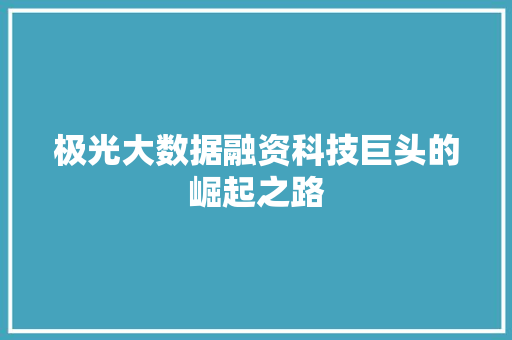极光大数据融资科技巨头的崛起之路
