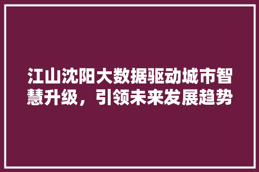 江山沈阳大数据驱动城市智慧升级，引领未来发展趋势