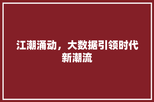 江潮涌动，大数据引领时代新潮流