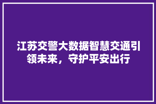 江苏交警大数据智慧交通引领未来，守护平安出行