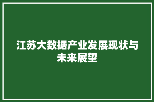 江苏大数据产业发展现状与未来展望