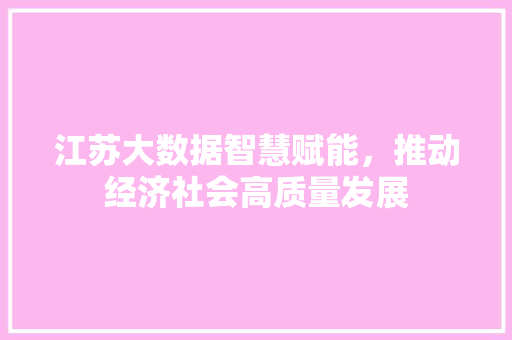 江苏大数据智慧赋能，推动经济社会高质量发展 商务信函