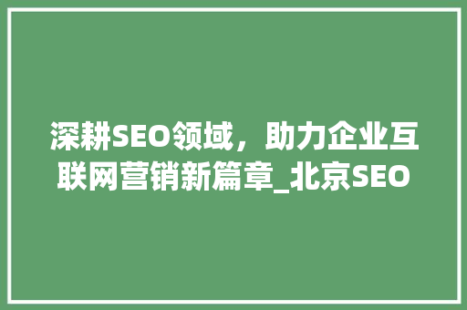 深耕SEO领域，助力企业互联网营销新篇章_北京SEO服务分析 缓存Redis