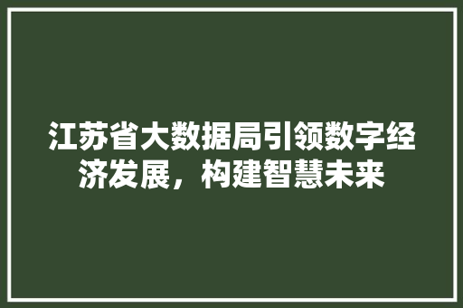 江苏省大数据局引领数字经济发展，构建智慧未来