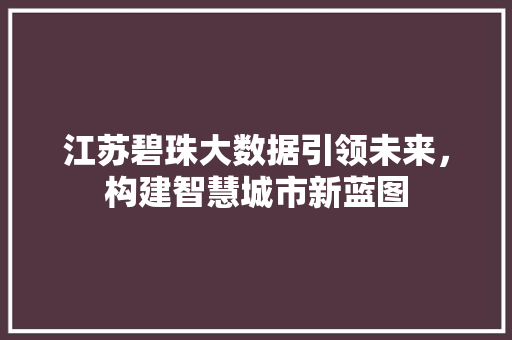 江苏碧珠大数据引领未来，构建智慧城市新蓝图