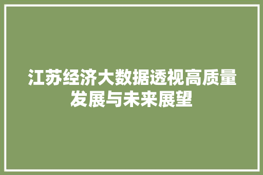 江苏经济大数据透视高质量发展与未来展望