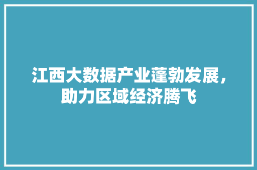 江西大数据产业蓬勃发展，助力区域经济腾飞