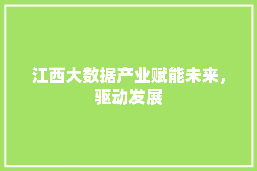 江西大数据产业赋能未来，驱动发展