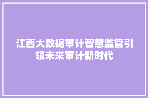 江西大数据审计智慧监管引领未来审计新时代