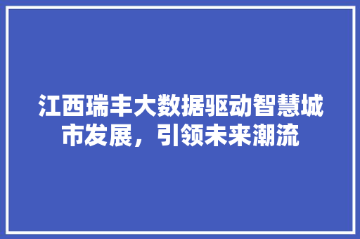 江西瑞丰大数据驱动智慧城市发展，引领未来潮流