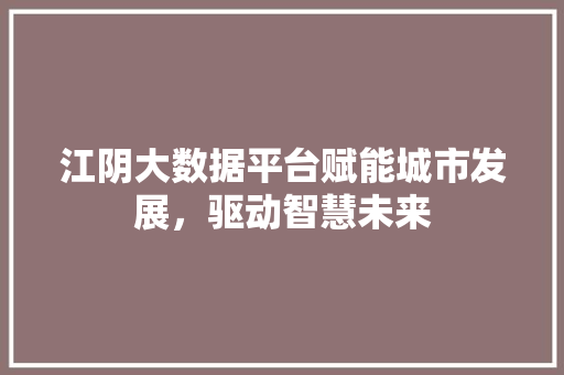 江阴大数据平台赋能城市发展，驱动智慧未来