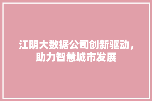 江阴大数据公司创新驱动，助力智慧城市发展