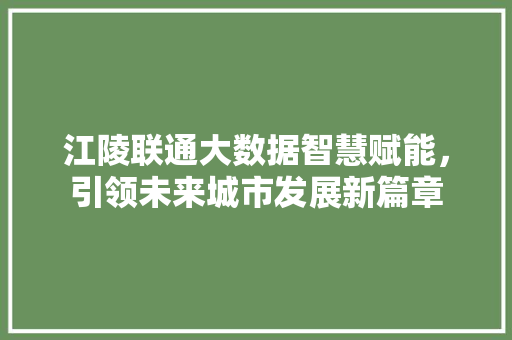 江陵联通大数据智慧赋能，引领未来城市发展新篇章