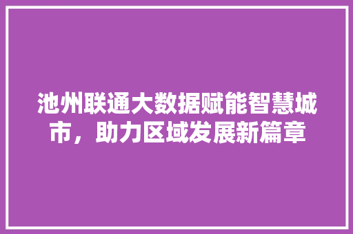 池州联通大数据赋能智慧城市，助力区域发展新篇章