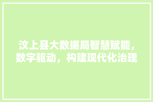汶上县大数据局智慧赋能，数字驱动，构建现代化治理新格局