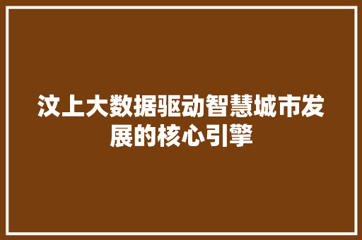 汶上大数据驱动智慧城市发展的核心引擎
