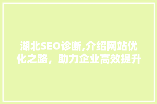 湖北SEO诊断,介绍网站优化之路，助力企业高效提升排名 后端技术