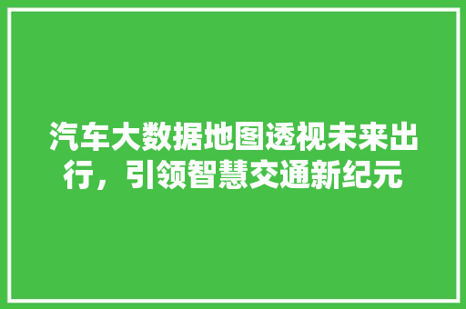 汽车大数据地图透视未来出行，引领智慧交通新纪元