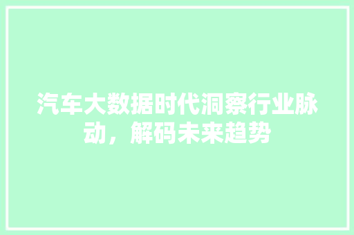 汽车大数据时代洞察行业脉动，解码未来趋势